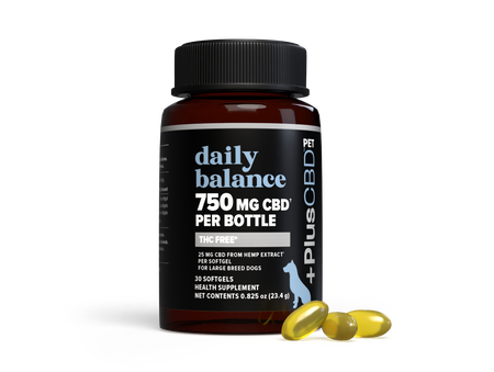Daily Balance Pet CBD Softgels